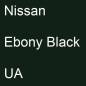 Preview: Nissan, Ebony Black, UA.